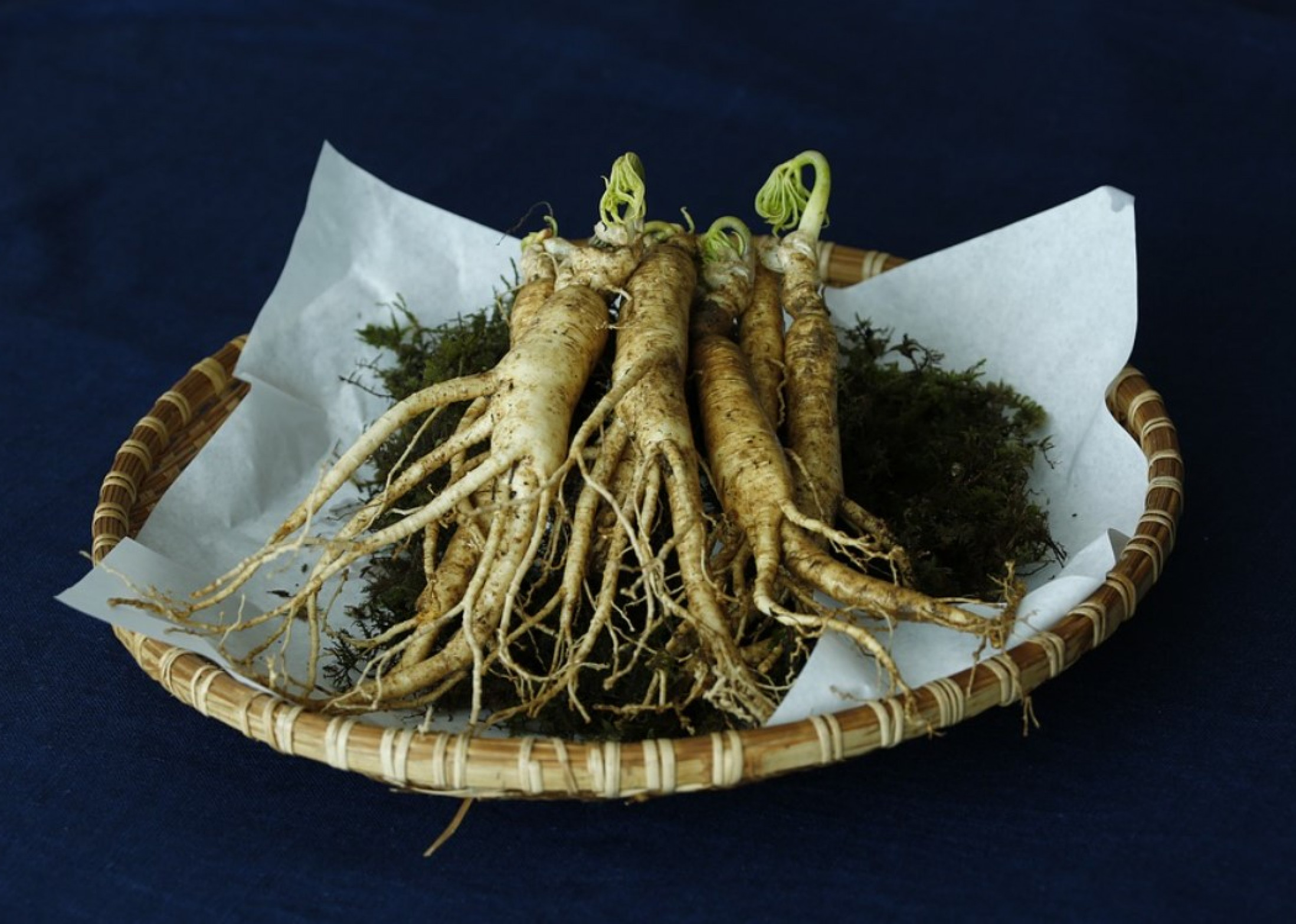 5 Jenis Tanaman Herbal yang Paling Populer di Dunia Beserta Khasiatnya
