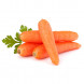 Daucus carota thumbnail