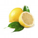 Citrus limon thumbnail