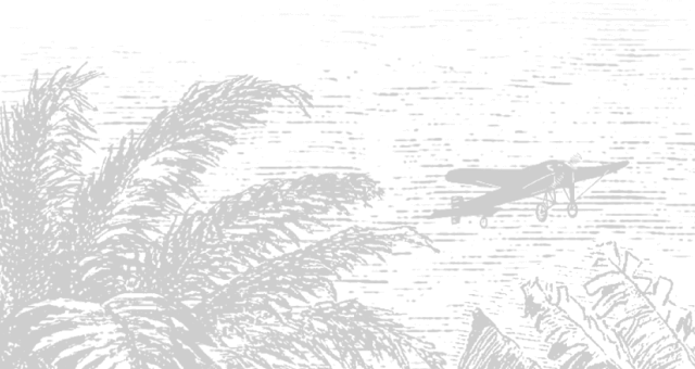 contact background mobile
